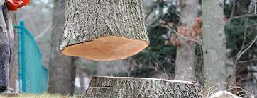 Best Tree Mulching  in Rmichael, CA